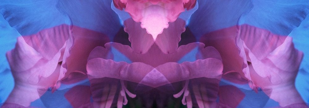 mrp_florafusion_MC011 mrp_florafusion_MC011
